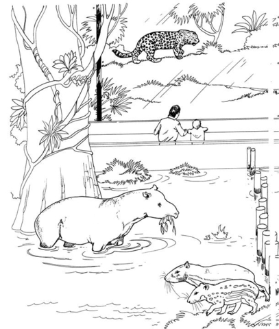 Tapir, Pacas And Jaguar Coloring Page